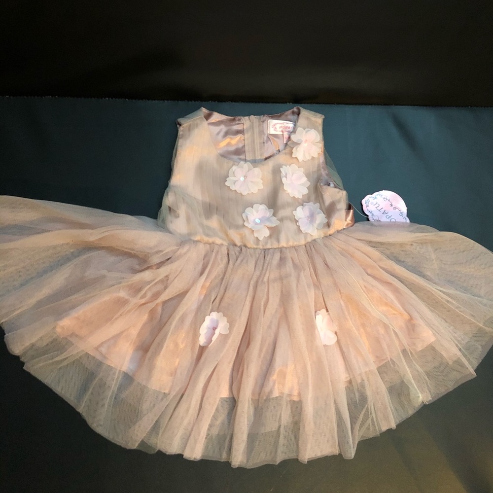 NWT Popatu floral tulle dress